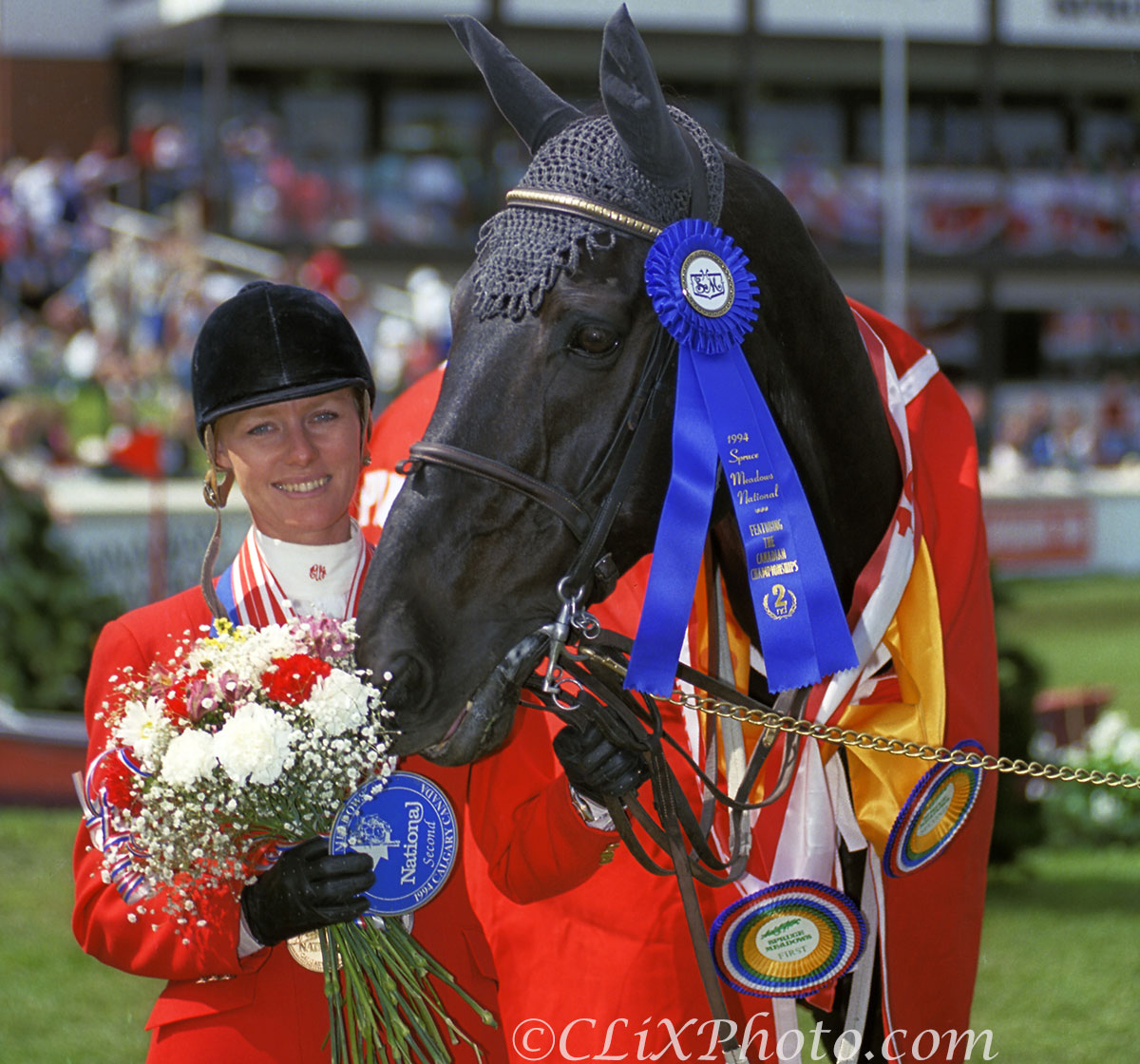 Past Champion – Monopoly | Beth Underhill Stables